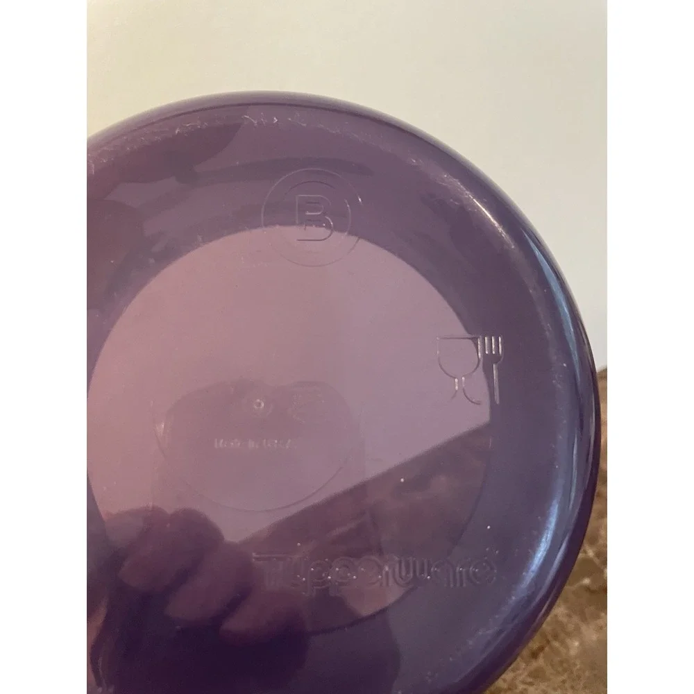 Tupperware One Touch Canister Fall Halloween Theme B Snacks Crafts USA